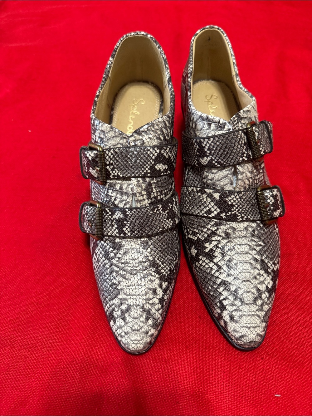 Splendid Black and Silver Snake-Print Buckle Ankle Boots